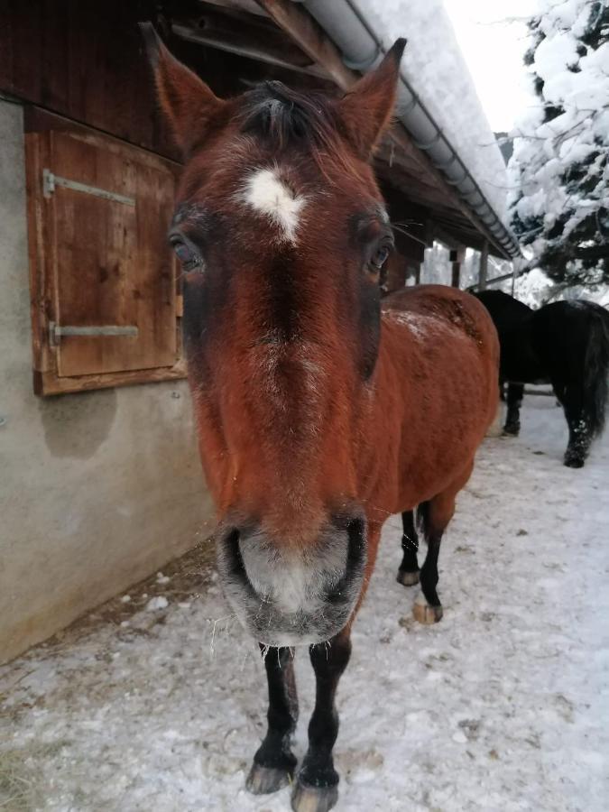 Bed and Breakfast Au Pré des Chevaux Château-d'Oex Exterior foto