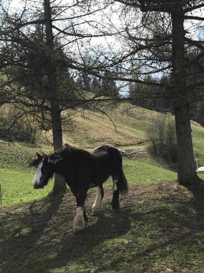 Bed and Breakfast Au Pré des Chevaux Château-d'Oex Exterior foto